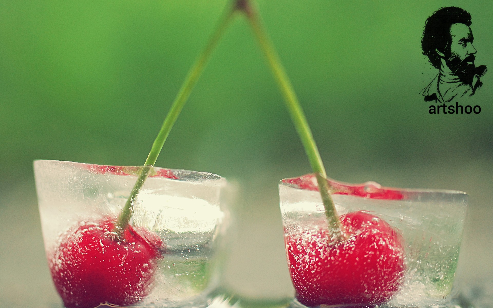 مدل رنگ روغن آب اورژینال